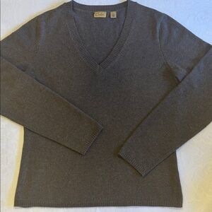 Caslon Cashmere V-Neck Sweater in Deep Brown